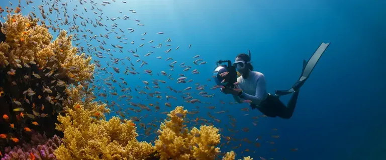 Diving Hubs