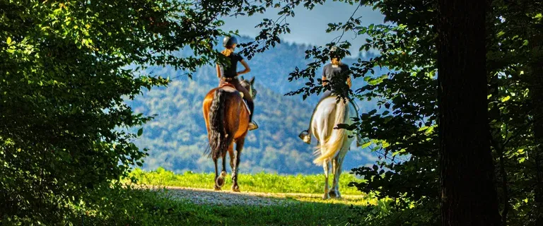 Equestrian Hubs